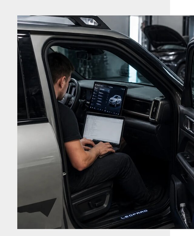 Русификация BYD Leopard 3 в Назарове по цене от 20453 р. | ФастМобиль-Нрв